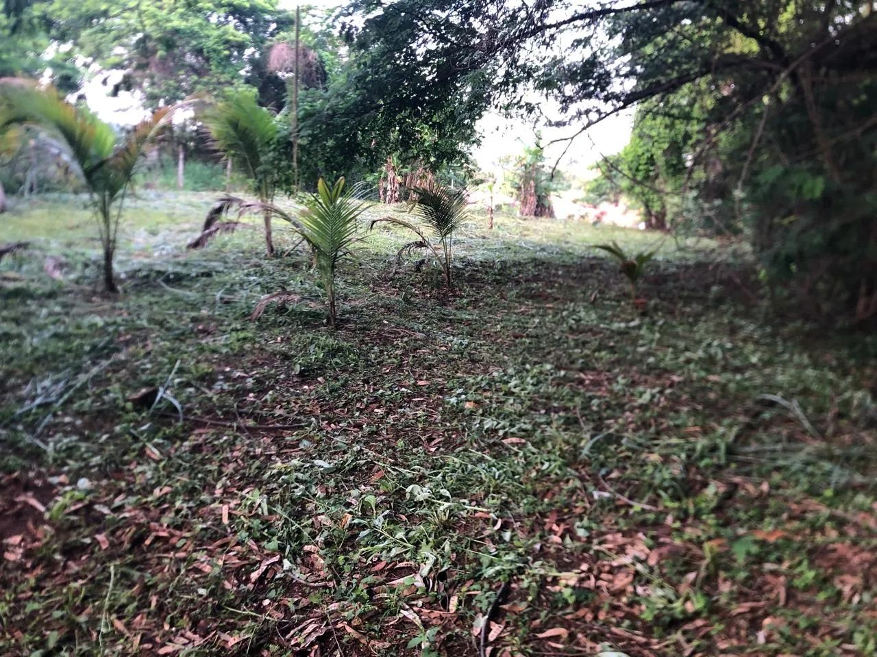 Vendo ou troco esse lote no centro de Tocantinópolis-TO - Foto 5