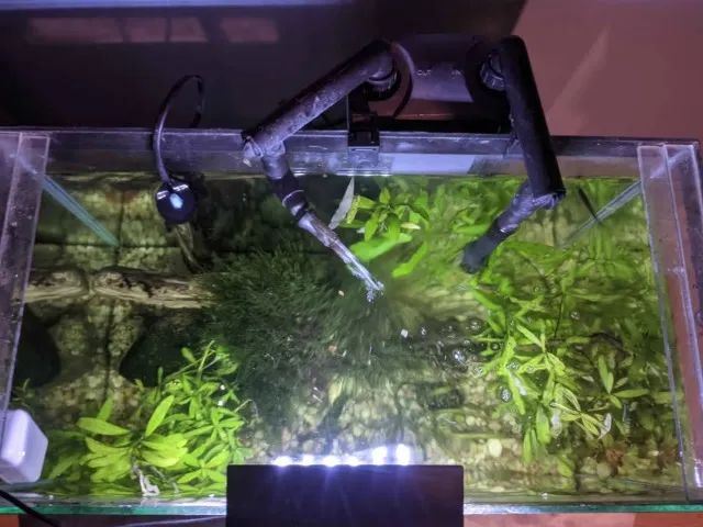 Aquario 100l a venda - Foto 2