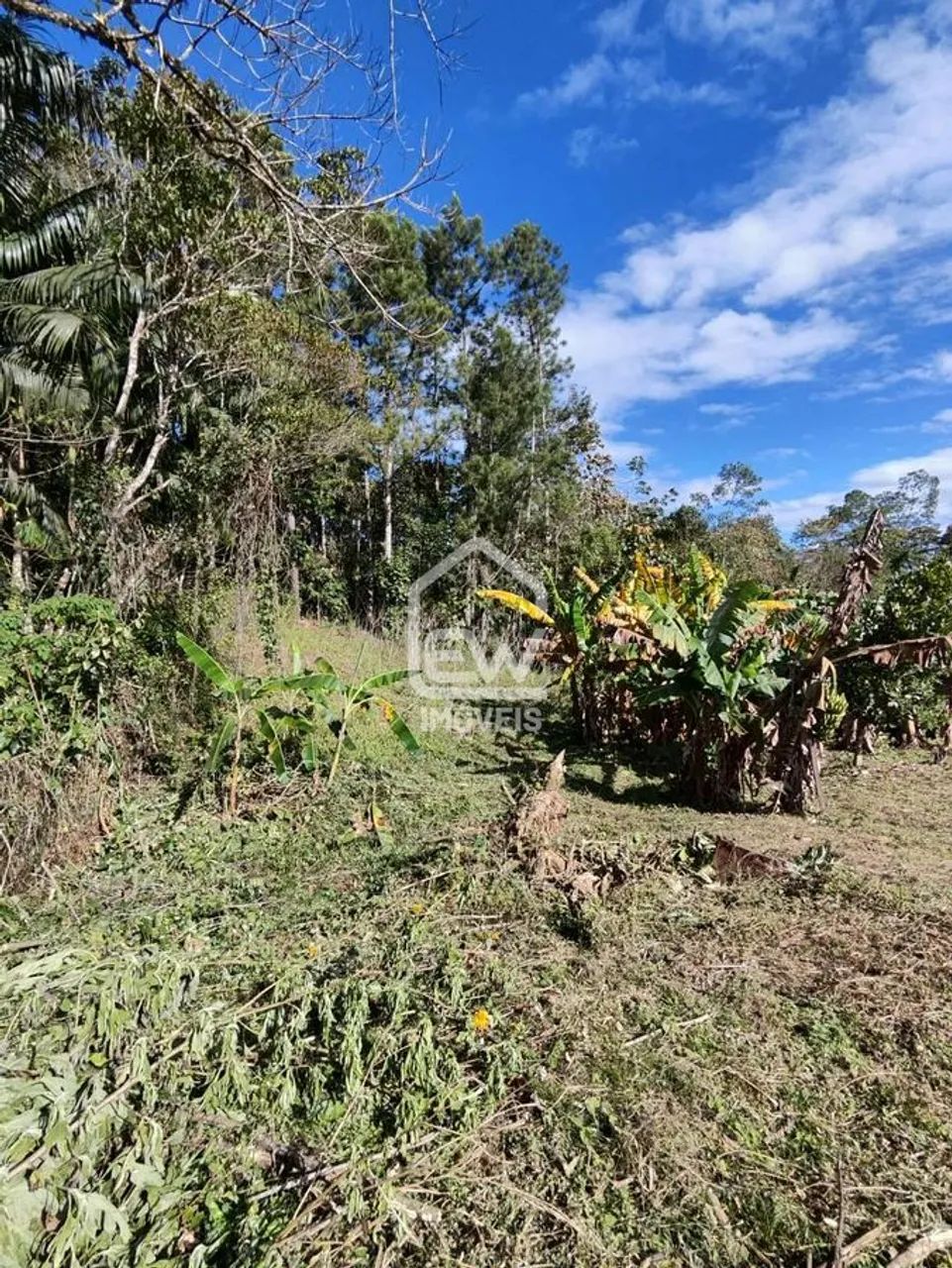 Terreno com Área Total de 810m² em Schroeder, SC - Foto 4
