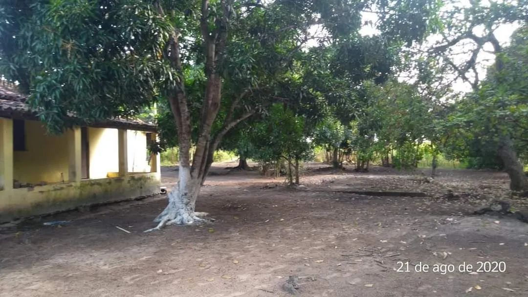 Chácara 1 hectare - Foto 3