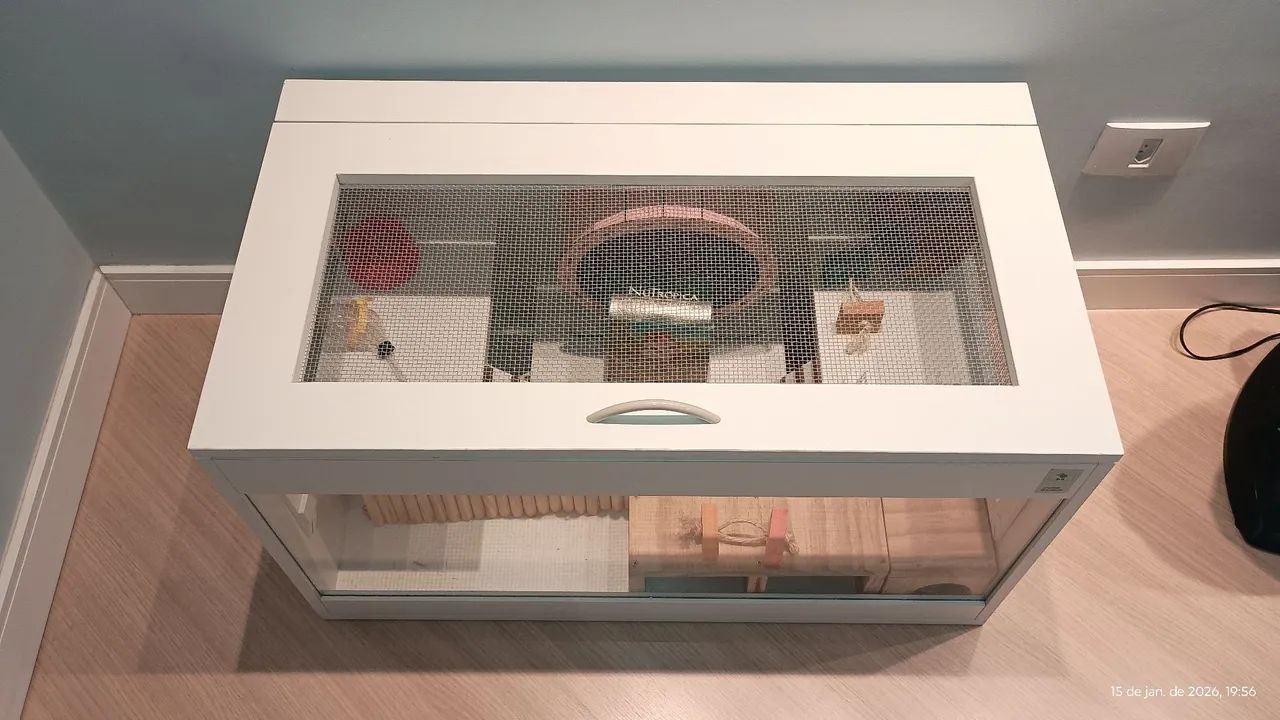 Terrário para hamster65093264873346120