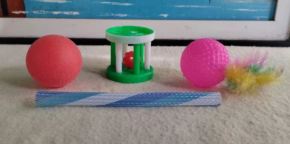 kit brinquedo para pet - Foto 4