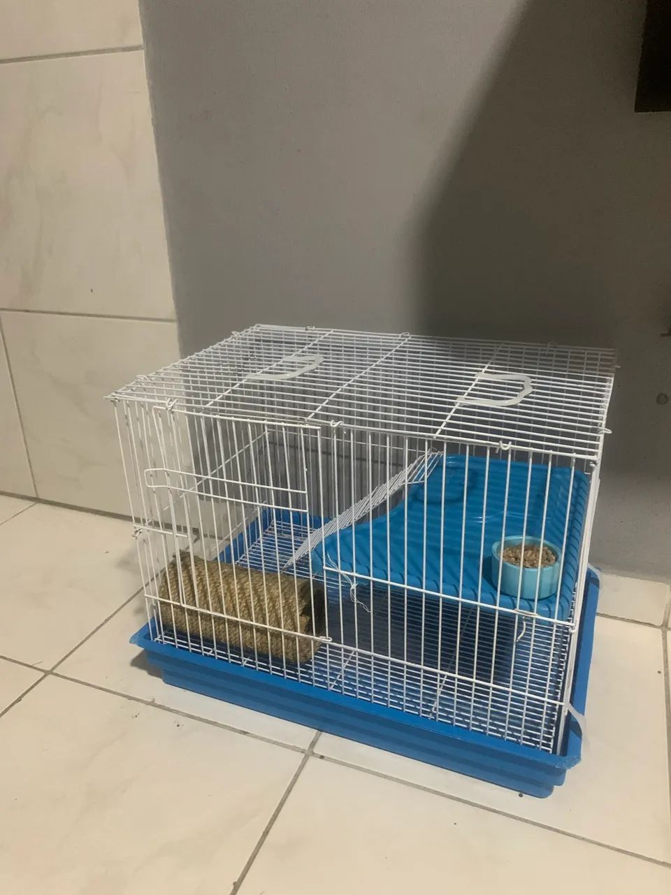 Gaiola+ mini coelho da raça 