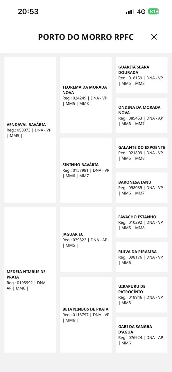 Potro Pampa Registrado - Foto 4