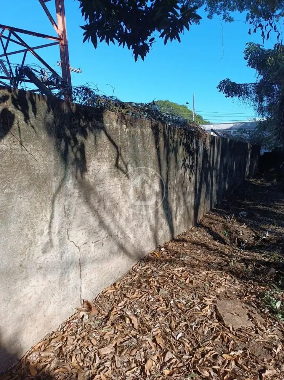 TERRENO COMERCIAL - Foto 2