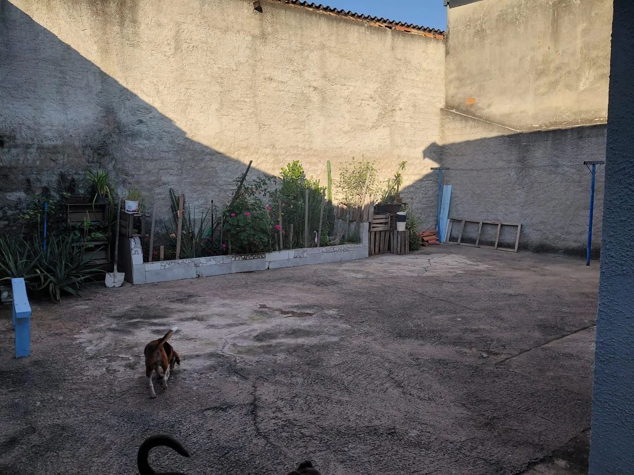 Vendo Casa no São bento campo grande Campinas - Foto 4