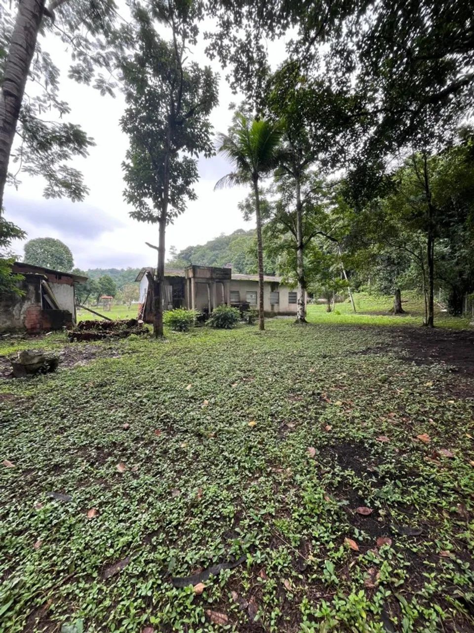 Sítio em Barão de Guandu - Foto 6