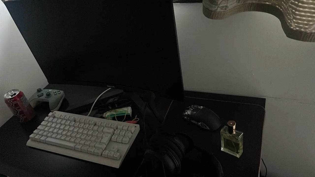 Pc gamer (roda todos os jogos )