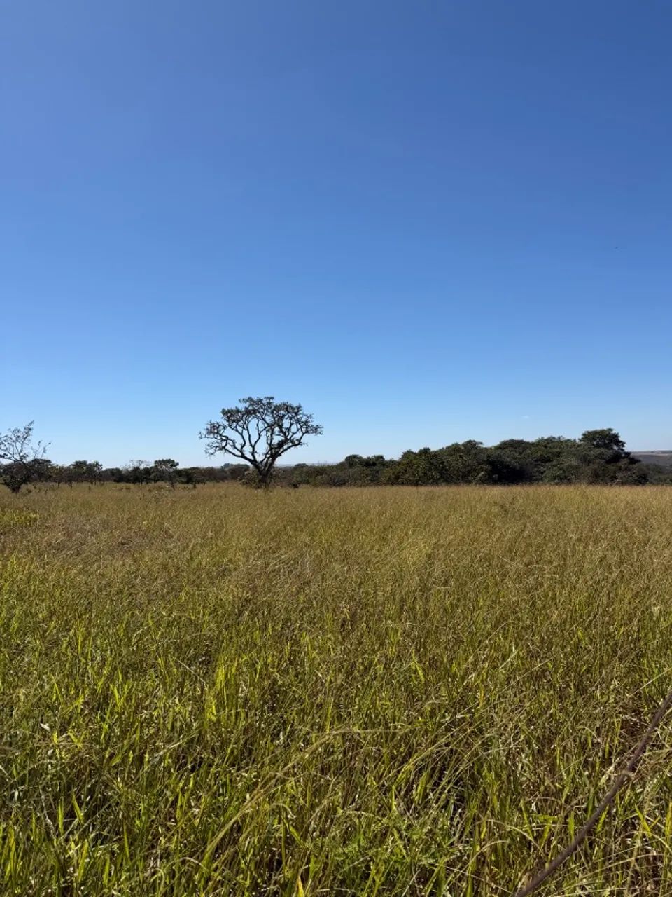 Fazenda 48 hectares - 10 alqueires - Foto 5