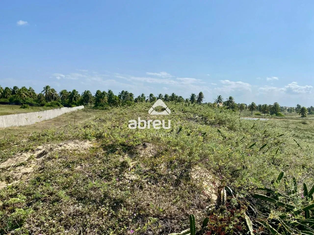 Terreno Padrão em Maxaranguape - Foto 3