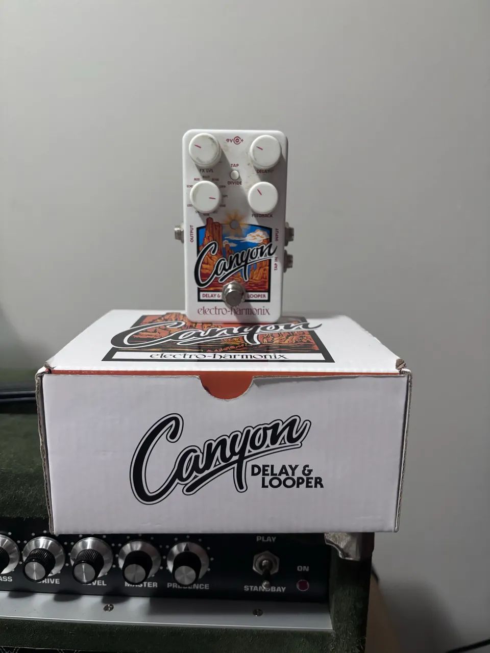 EHX Canyon Delay e Looper