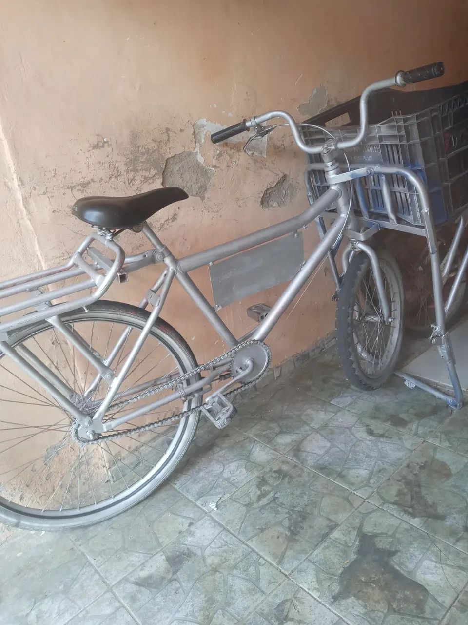 Bicicleta cargueira 