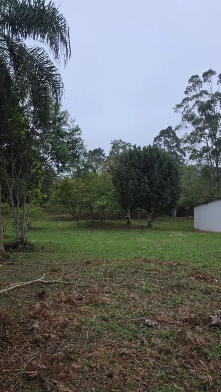 Terreno Plano com Pomar, Ótima Localização ! - Foto 5