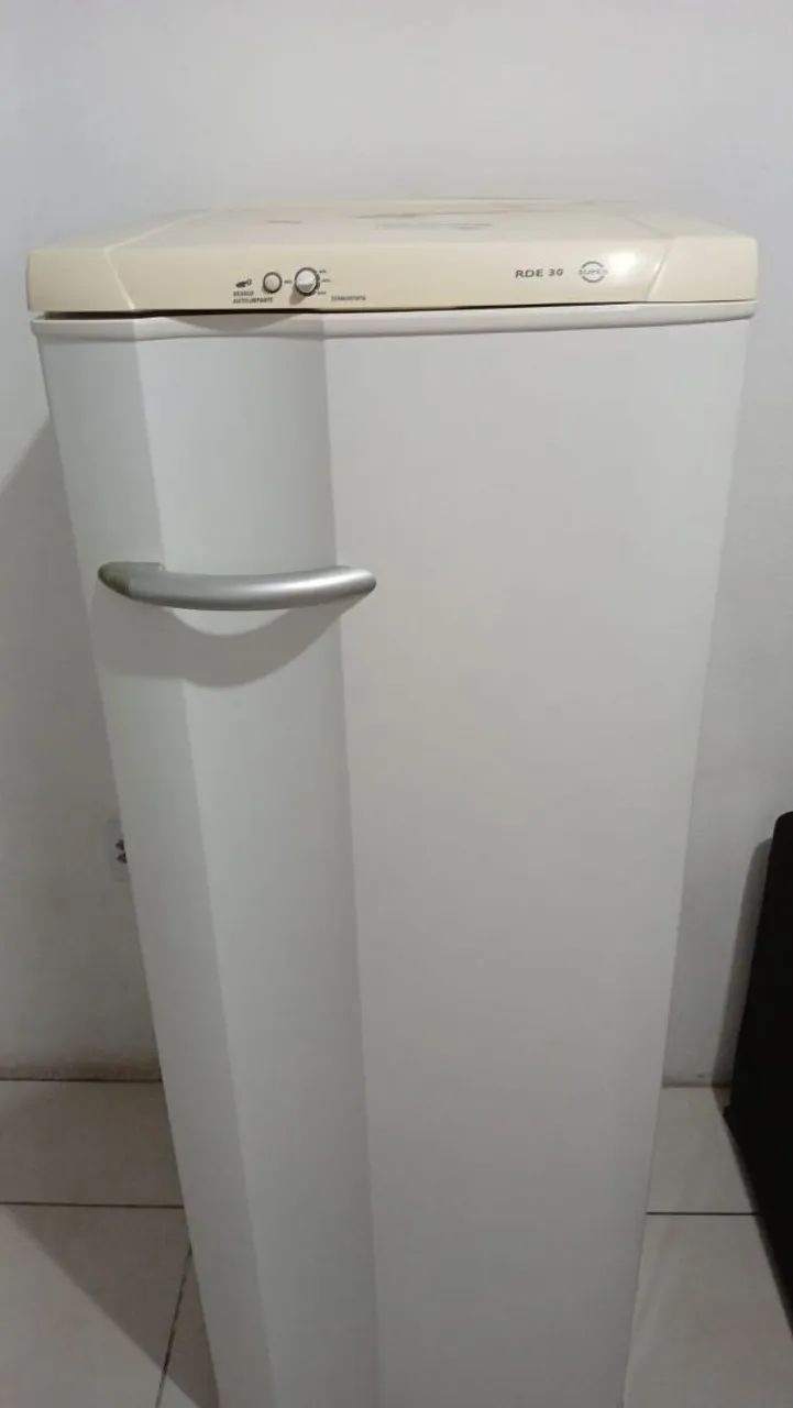 Vendo está geladeira Eletrolux 