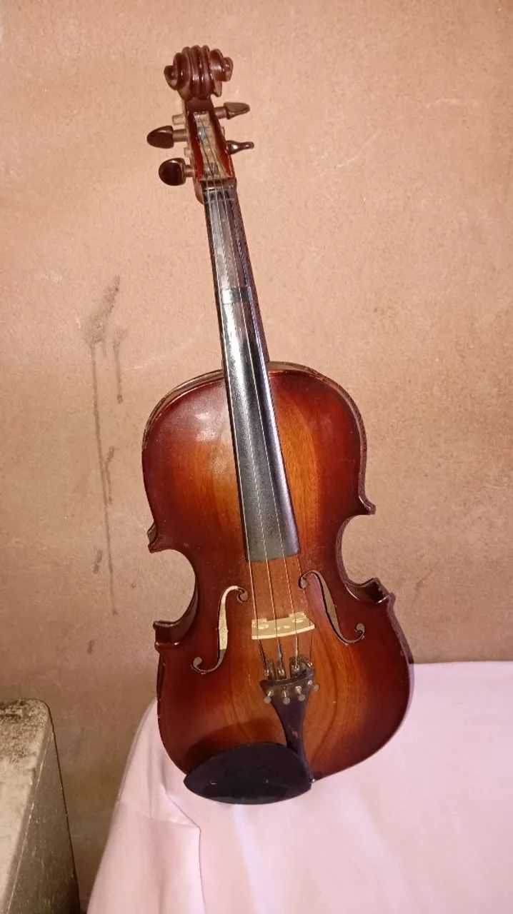 Violino ?