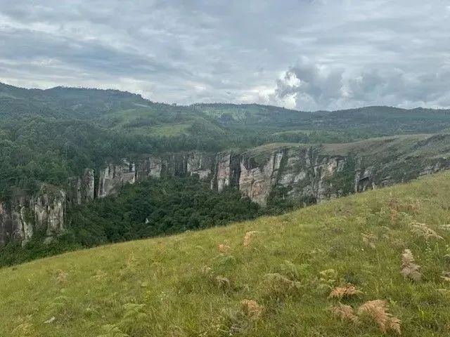 Área a venda em Bocaina do Sul com - Foto 5