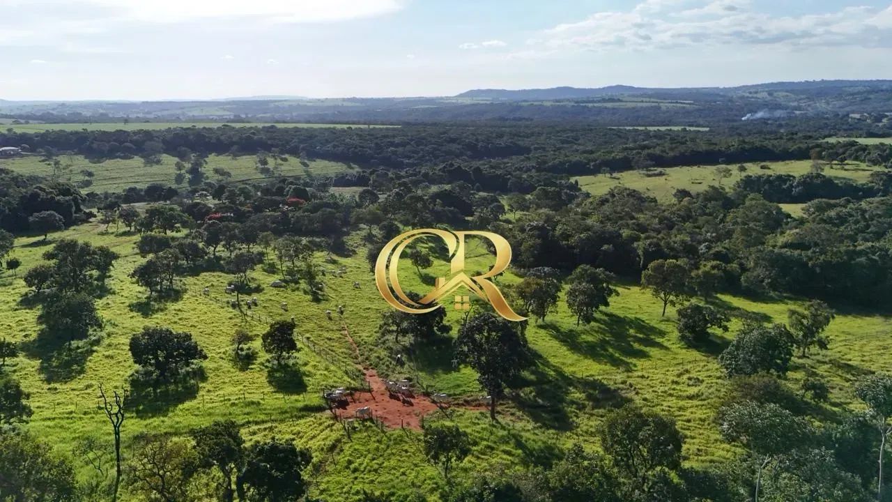 Fazenda a 32km de Goiânia - Foto 4