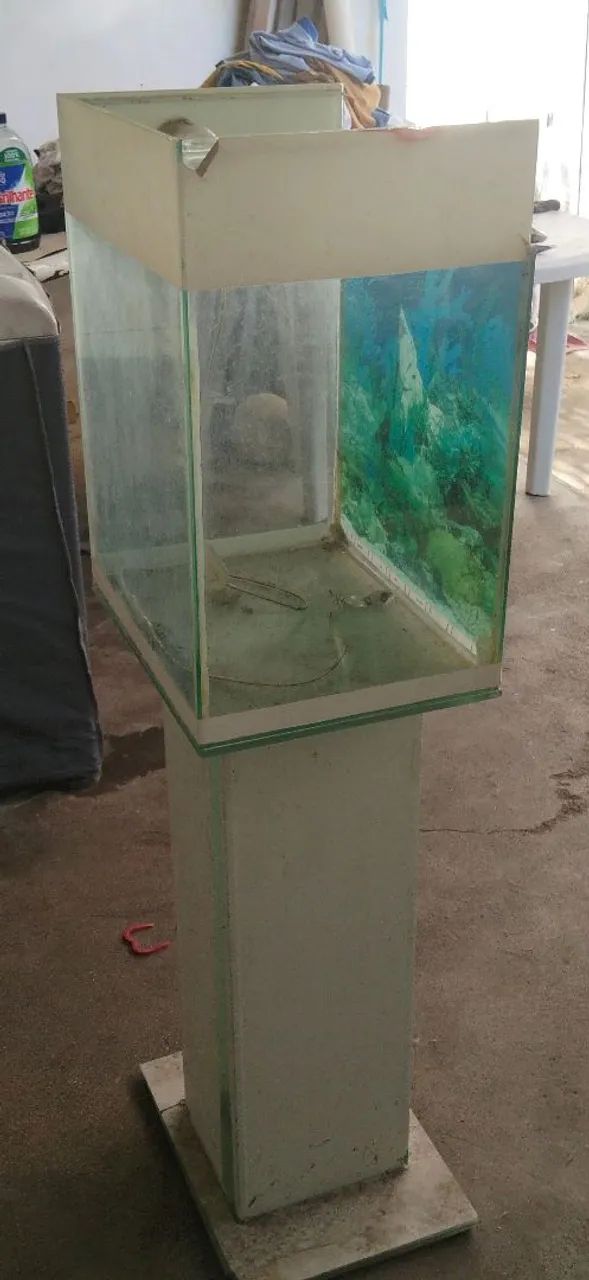 Aquário com base de vidro - Foto 6
