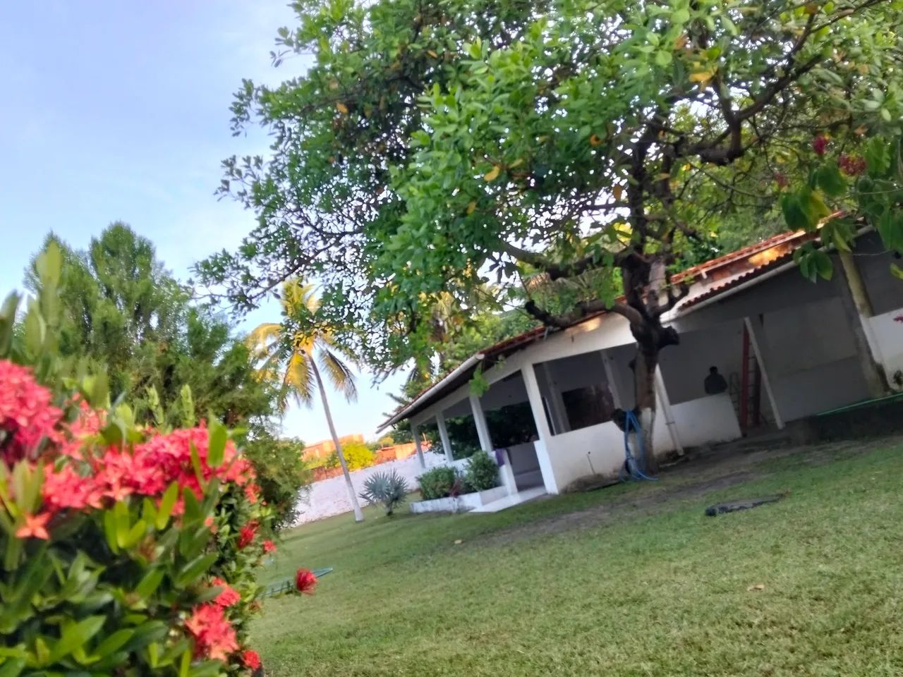 Chácara aluguel - Foto 4