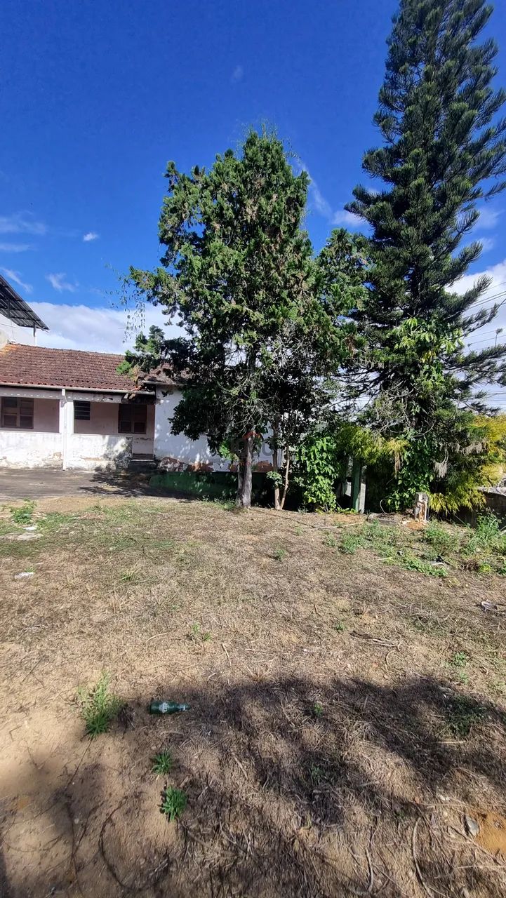 Lote / Terreno - Grama - Foto 3