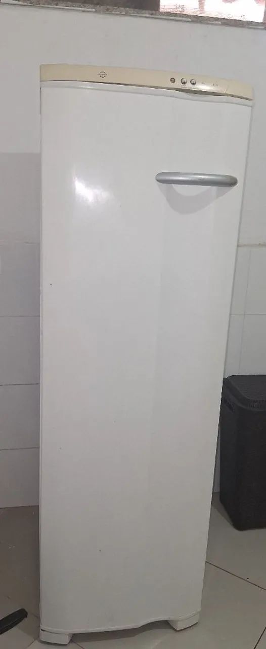 Vendo freezer  - Foto 4