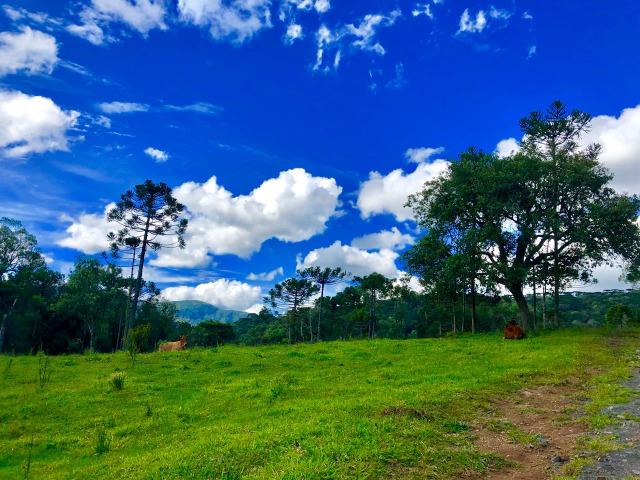 Chácara com cachoeira em Urubici - Foto 4