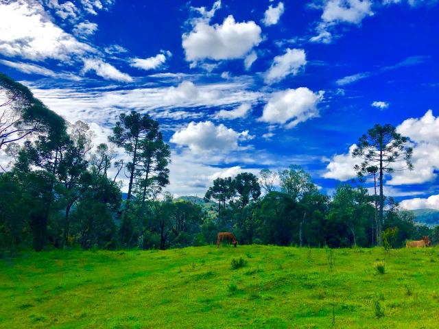 Chácara com cachoeira em Urubici - Foto 6