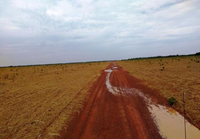 Fazenda 9.900 ha São Felix Do Araguaia - Foto 12