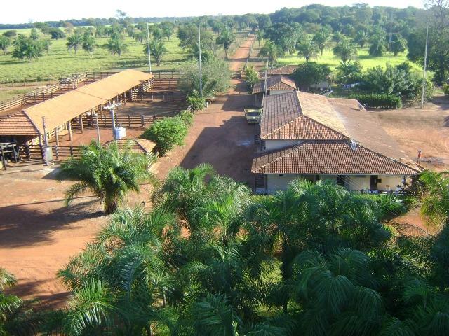 Fazenda 6,000 ha Vale do Araguaia MT. Cinematográfica - Foto 12