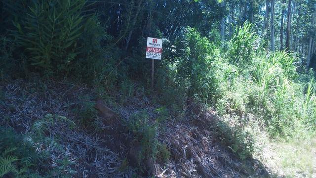 Chácara c/3,2 ha, Morro dos Barretos - Montenegro - 94