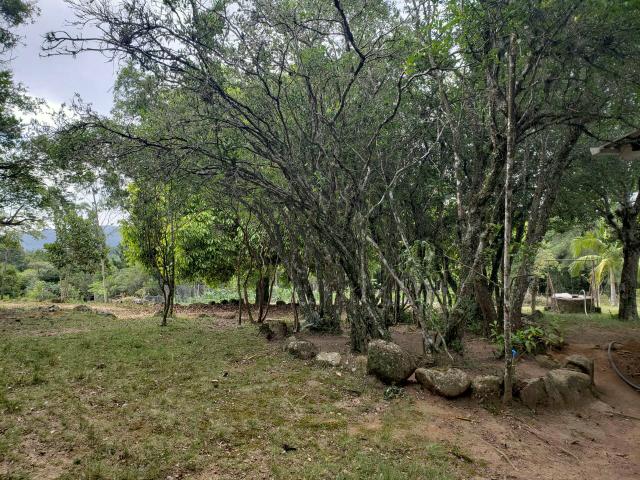 Sitio - Foto 4