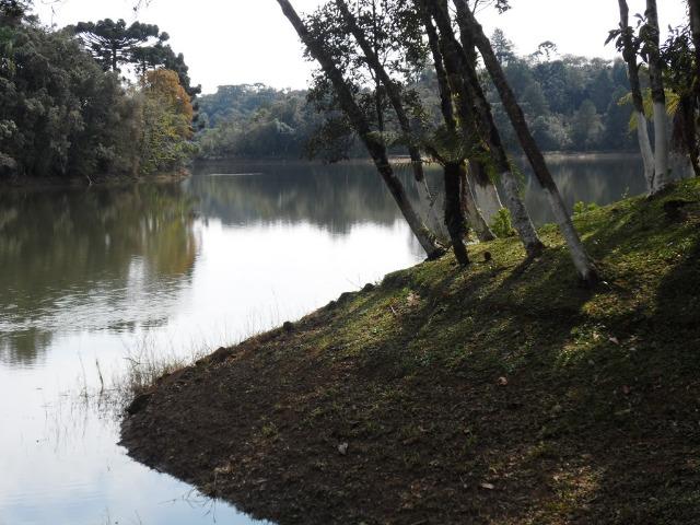 Ref. 2123 Linda chácara na represas da voçoroca - Foto 12