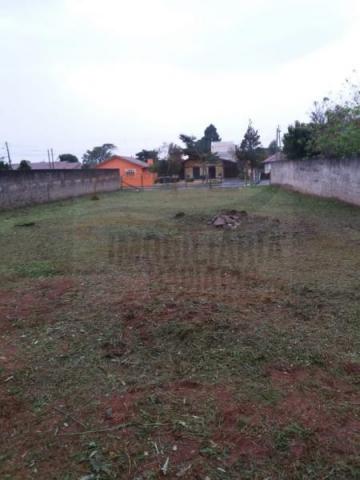 Terreno para venda em campina grande do sul, jardim paulista - Foto 3