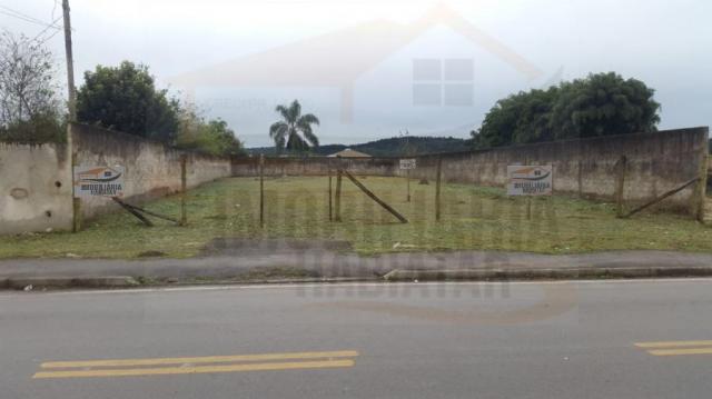 Terreno para venda em campina grande do sul, jardim paulista - Foto 2