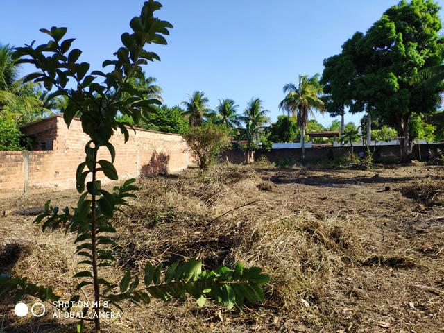 Terreno 25x80 lindóia satuba - Foto 3