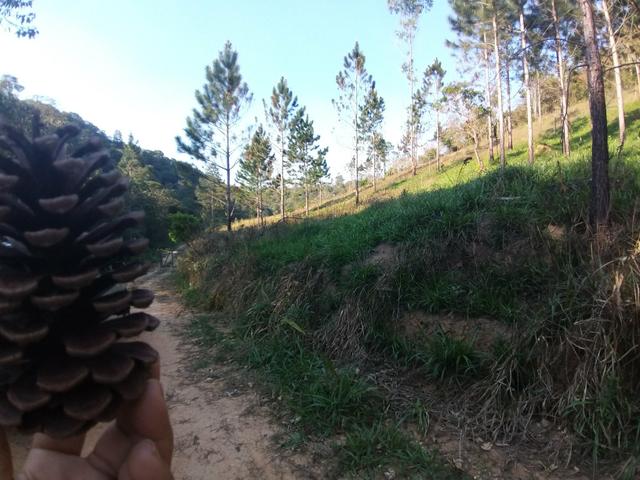 Terreno de 10mil m² para você construir tudo e um pouco mais!!! - Foto 2