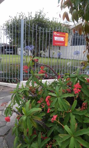 Casa em São Lourenço do Sul Terreno com 3 casas - Foto 2