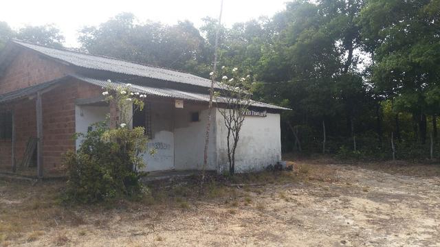Sítio Família "M" - Foto 3