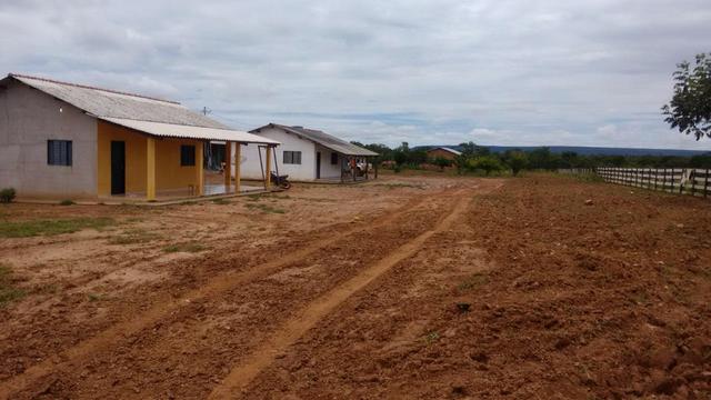 Vendo Fazenda com 1.523 Hectares na região do Manso - Foto 6