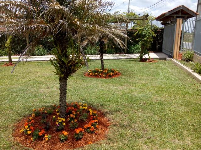 Casa - Costeira / São Jose dos Pinhais - Foto 5