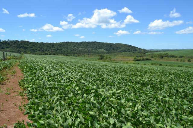Oportunidade Produtor Rural Terreno em Bela Vista do Toldo - Foto 6