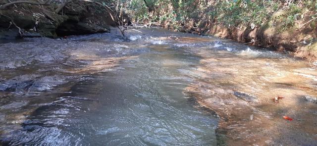 São 2 hectares com nascente nos fundos em chapada dos Guimarães - Foto 3