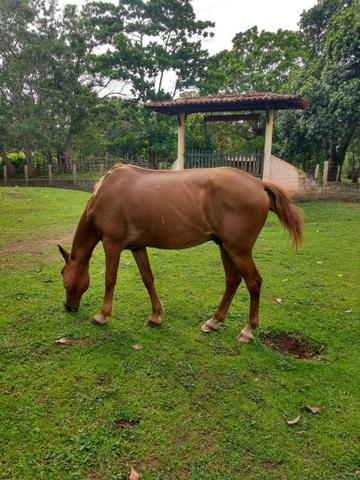 Fazenda Miranda
