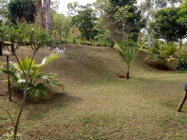 Sitio com agua em Claudio MG - Foto 16