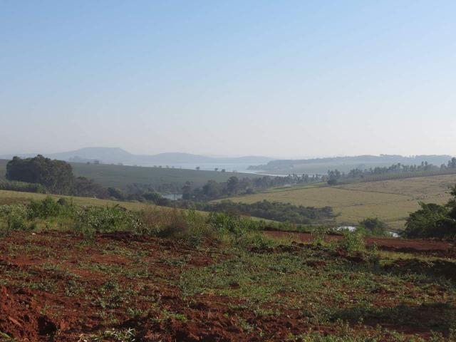 Lotes a venda