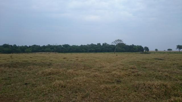 Fazenda para lavoura de 44 alqueires a venda na região de Caldas Novas GO - Foto 3