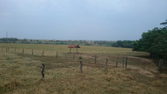 Fazenda para lavoura de 44 alqueires a venda na região de Caldas Novas GO - Foto 9