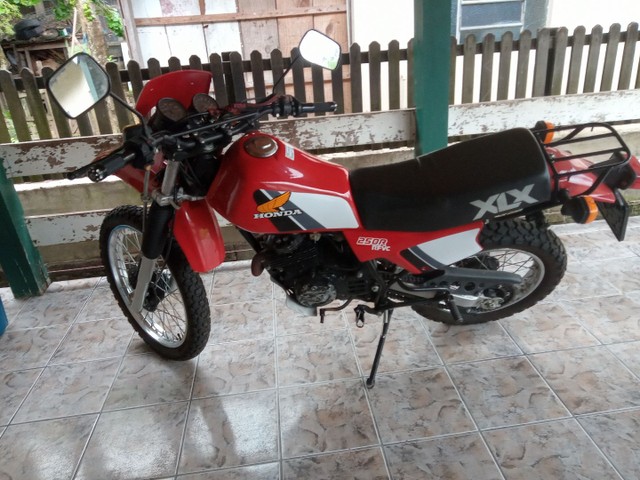 XLX 250