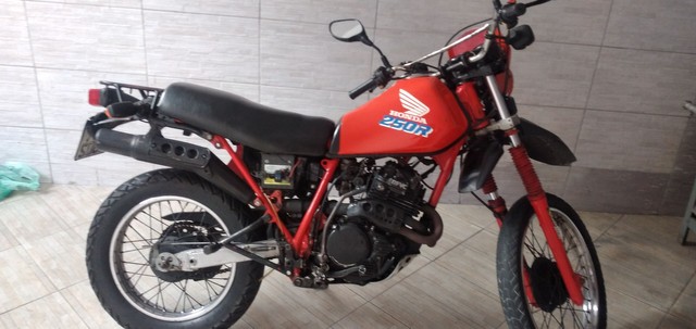XLX 250 R