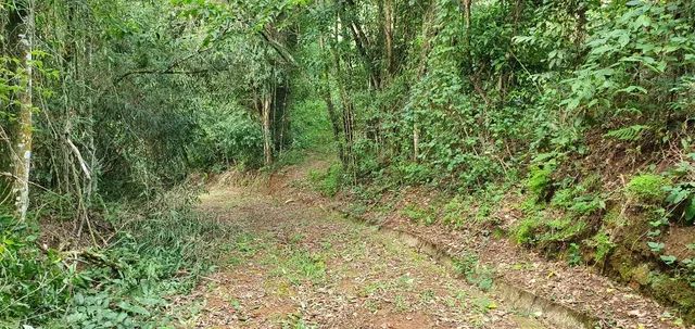 Excelente terreno em Piedade - Foto 14